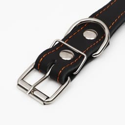 Ошейник кожаный на синтепоне «Ёж», 64×3 см, ОШ 40-55 см, чёрный