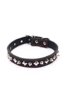 Ошейник кожаный двухслойный шипованный, 63×3 см, ОШ 40-55 см, чёрный