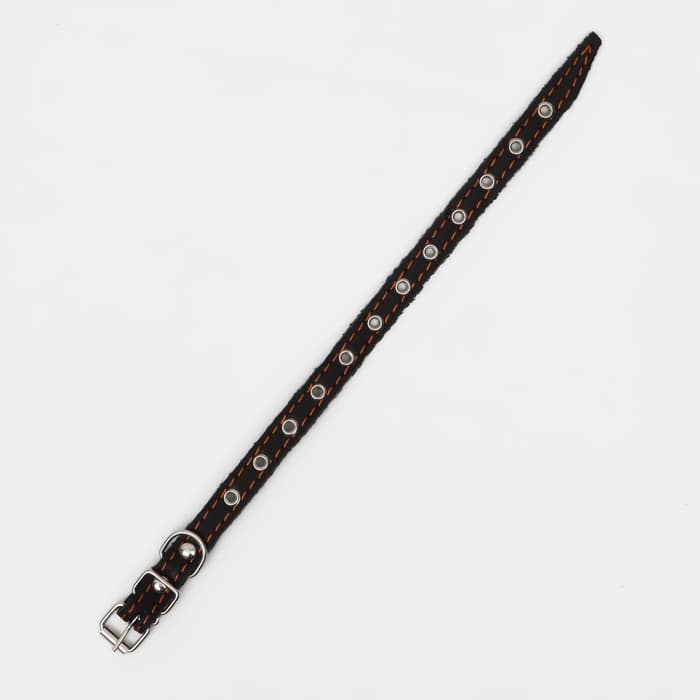 Ошейник кожаный однослойный, безразмерный, 37×1.5 см, ОШ 21-32 см, чёрный