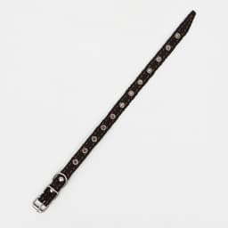 Ошейник кожаный однослойный, безразмерный, 37×1.5 см, ОШ 21-32 см, чёрный