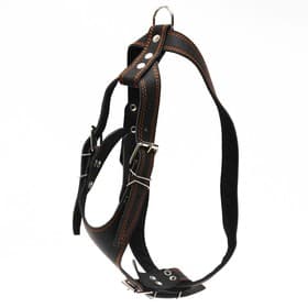 Шлейка «Караульная» на фетре, 3.6 см, ОШ 40-74 см, ОГ 95-110 см, кожа, чёрная