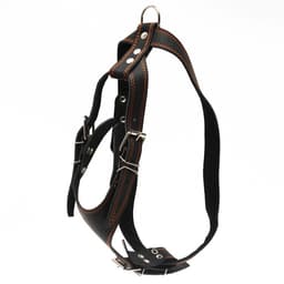 Шлейка «Караульная» на фетре, 3.6 см, ОШ 40-74 см, ОГ 95-110 см, кожа, чёрная