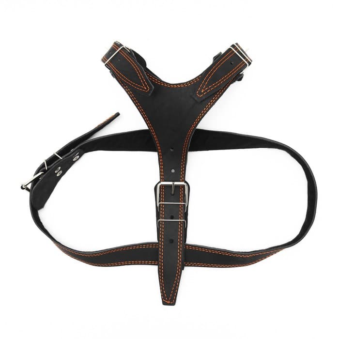 Шлейка «Караульная» на фетре, 3.6 см, ОШ 40-74 см, ОГ 95-110 см, кожа, чёрная