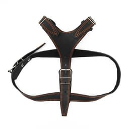 Шлейка «Караульная» на фетре, 3.6 см, ОШ 40-74 см, ОГ 95-110 см, кожа, чёрная