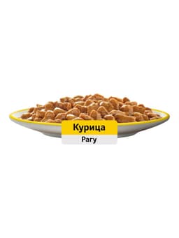 Влажный корм Whiskas для кошек, рагу с курицей, 75 г