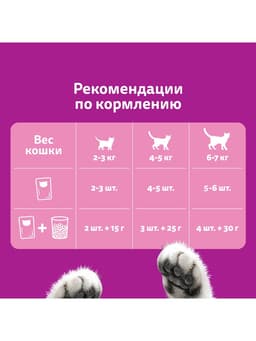 Влажный корм Whiskas для кошек, рагу с курицей, 75 г