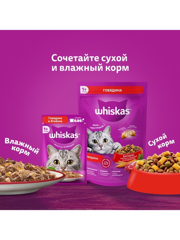 Влажный корм Whiskas для кошек, рагу с курицей, 75 г