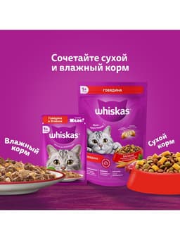 Влажный корм Whiskas для кошек, рагу с курицей, 75 г