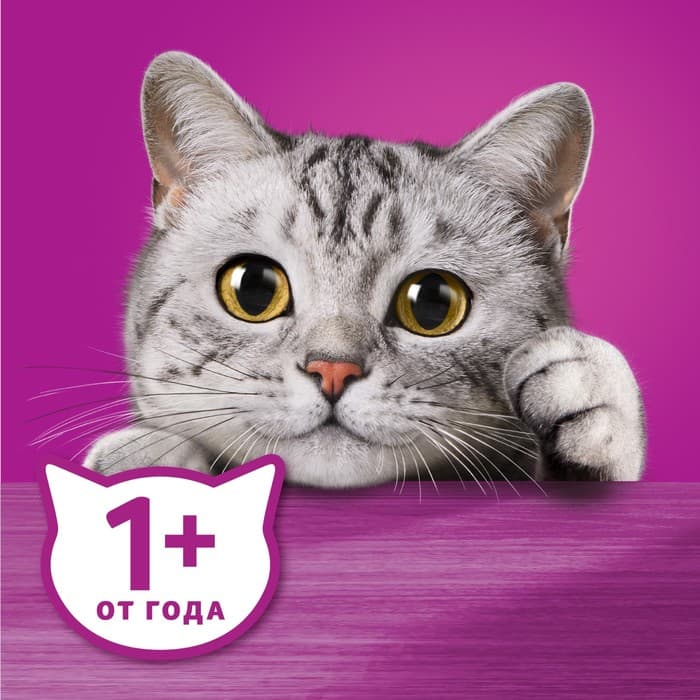 Влажный корм Whiskas для кошек, рагу с курицей, 75 г
