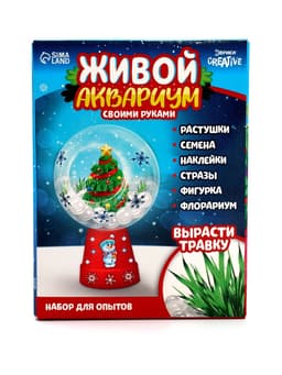 Набор для опытов «Новогодний флорариум»
