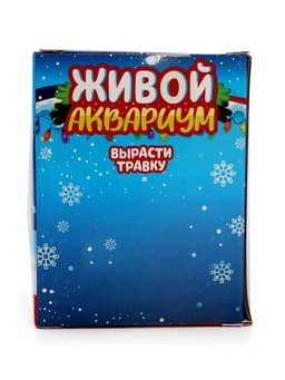 Набор для опытов «Новогодний флорариум»