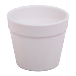 Набор для опытов «Новогодний флорариум»