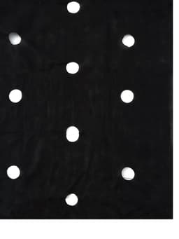 Материал мульчирующий, с перфорацией (4 ряда), 20×1.6 м, плотность 80 г/м², спанбонд с УФ-стабилизатором, чёрный, Greengo, Эконом 30%