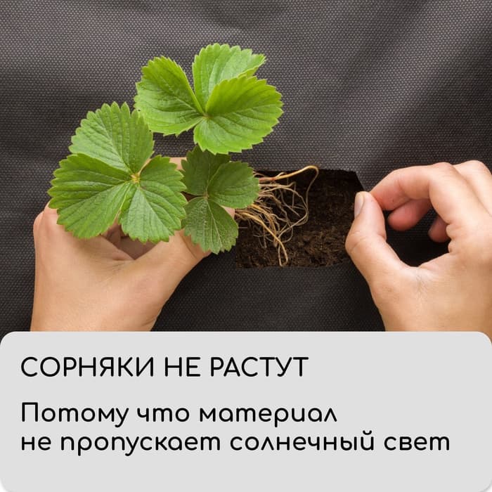 Материал мульчирующий, с перфорацией (4 ряда), 20×1.6 м, плотность 80 г/м², спанбонд с УФ-стабилизатором, чёрный, Greengo, Эконом 30%