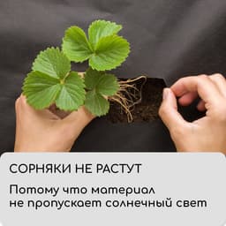 Материал мульчирующий, с перфорацией (4 ряда), 20×1.6 м, плотность 80 г/м², спанбонд с УФ-стабилизатором, чёрный, Greengo, Эконом 30%