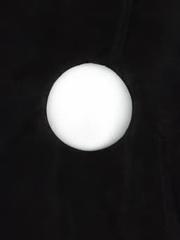 Материал мульчирующий, с перфорацией (4 ряда), 20×1.6 м, плотность 80 г/м², спанбонд с УФ-стабилизатором, чёрный, Greengo, Эконом 30%