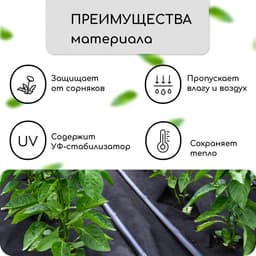 Материал мульчирующий, с перфорацией (4 ряда), 20×1.6 м, плотность 80 г/м², спанбонд с УФ-стабилизатором, чёрный, Greengo, Эконом 30%