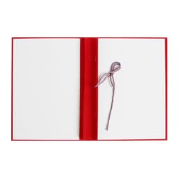 Папка «Дипломная работа» А4, бумвинил, гребешки/сутаж, без бумаги, красная, (вместимость до 150 листов)