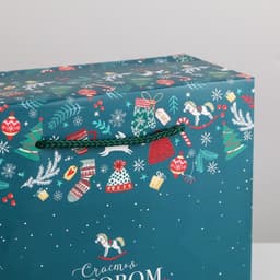 Пакет - коробка, 23×18×11 см