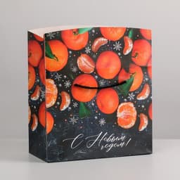 Пакет - коробка подарочный новогодний «С Новым годом», 23×18×11 см