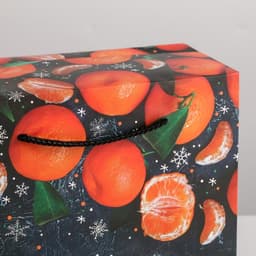 Пакет - коробка подарочный новогодний «С Новым годом», 23×18×11 см