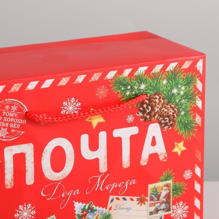 Пакет - коробка, 23×18×11 см