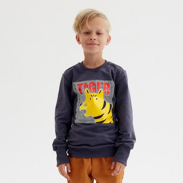Свитшот для мальчика MINAKU: Casual Collection KIDS, серый, рост 128 см