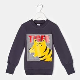 Свитшот для мальчика MINAKU: Casual Collection KIDS, серый, рост 128 см