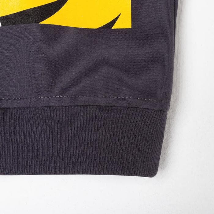 Свитшот для мальчика MINAKU: Casual Collection KIDS, серый, рост 146 см