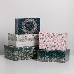 Набор подарочных коробок 5 в 1 «Зима время чудес», 32.5×20×12.5 - 22×14×8.5 см, Новый год