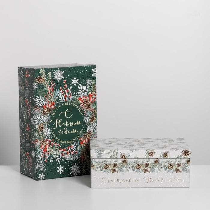 Набор подарочных коробок 5 в 1 «Зима время чудес», 32.5×20×12.5 - 22×14×8.5 см, Новый год
