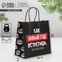 Пакет подарочный новогодний «Так тебе и надо», 22×22×11 см