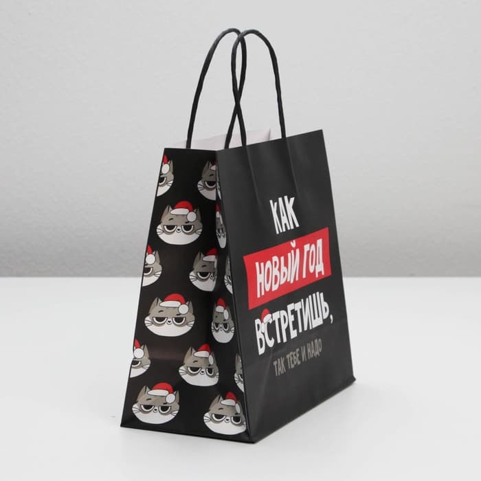 Пакет подарочный новогодний «Так тебе и надо», 22×22×11 см