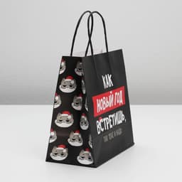 Пакет подарочный новогодний «Так тебе и надо», 22×22×11 см