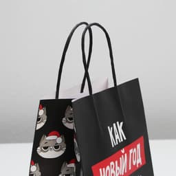 Пакет подарочный новогодний «Так тебе и надо», 22×22×11 см