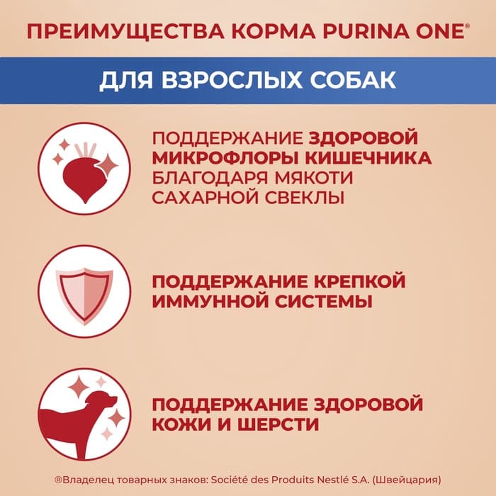 Сухой корм Purina One medium/maxi для взрослых собак, курица/рис, 10 кг