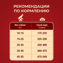 Сухой корм Purina One medium/maxi для взрослых собак, курица/рис, 10 кг