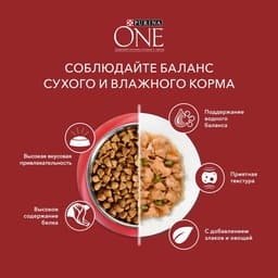 Сухой корм Purina One medium/maxi для взрослых собак, курица/рис, 10 кг