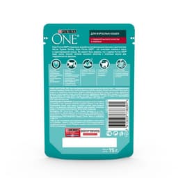 Влажный корм Purina One для кошек, говядина/морковь, 75 г