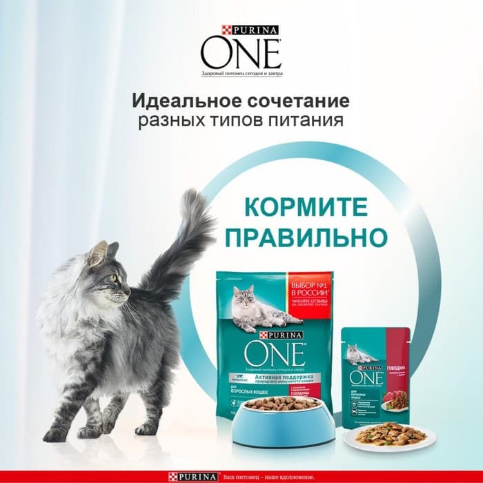 Влажный корм Purina One для кошек, говядина/морковь, 75 г