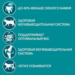 Влажный корм Purina One для кошек, говядина/морковь, 75 г