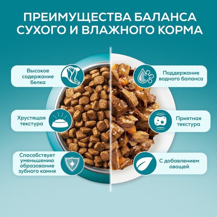 Влажный корм Purina One для домашних кошек, курица/морковь, 75 г