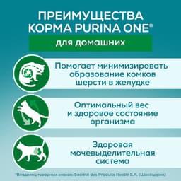 Влажный корм Purina One для домашних кошек, курица/морковь, 75 г
