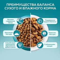 Влажный корм Purina One для котят, курица/морковь, 75 г