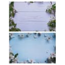 Фотофон для съёмок, двусторонний, бумага 300 г «Яблочный на голубом и белом», 57×87 см