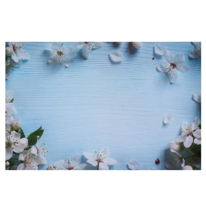 Фотофон для съёмок, двусторонний, бумага 300 г «Яблочный на голубом и белом», 57×87 см