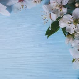 Фотофон для съёмок, двусторонний, бумага 300 г «Яблочный на голубом и белом», 57×87 см