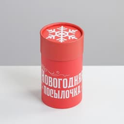 Коробка подарочная «Новогодняя посылочка», 8×14.5 см, Новый год