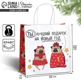 Пакет подарочный новогодний «Ты - лучший подарок», 22×22×11 см
