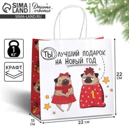 Пакет подарочный новогодний «Ты - лучший подарок», 22×22×11 см